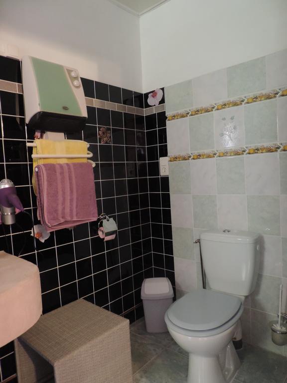 Les Deux Lions Hotel Alairac Екстериор снимка