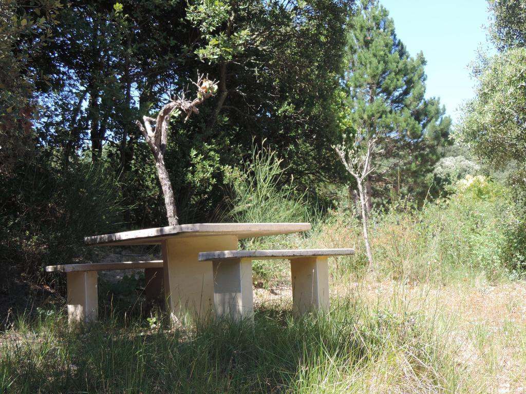 Les Deux Lions Hotel Alairac Екстериор снимка