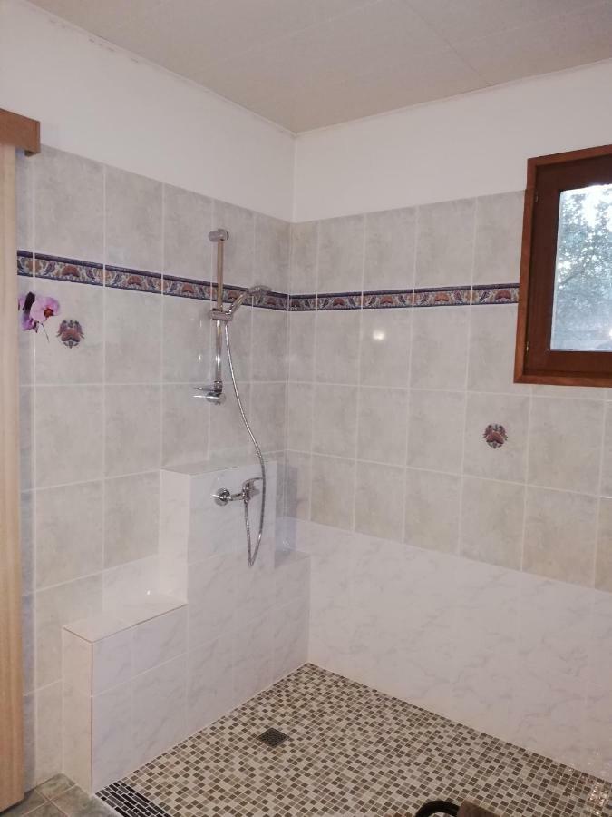 Les Deux Lions Hotel Alairac Екстериор снимка